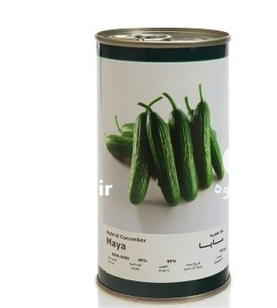 بذر خیار مایا فلات در اوز در گروه خرید و فروش بذر خیار در یکمیوه -عکس1
