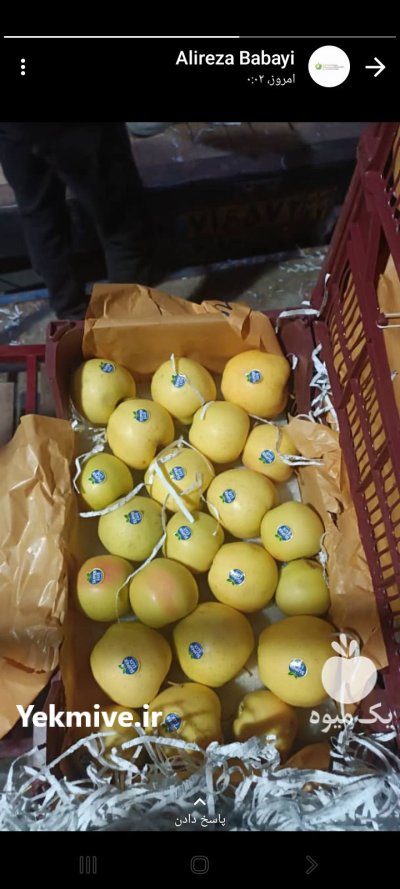 سیب سفید و قرمز منطقه جابان در دماوند در گروه خرید و فروش سیب در یکمیوه -عکس2