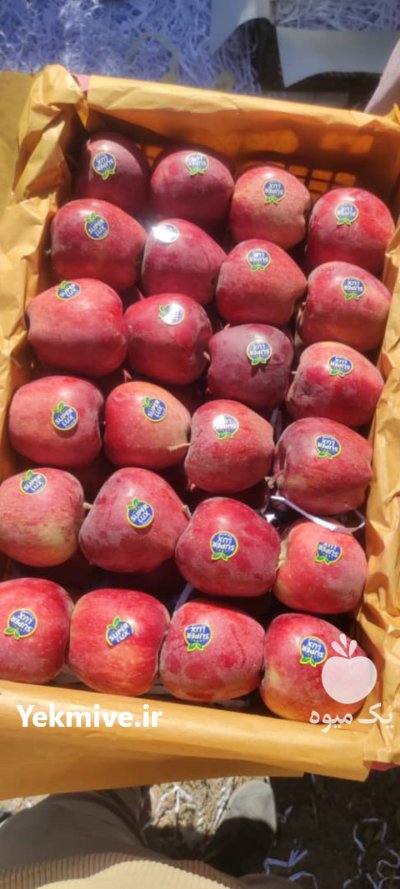 سیب سفید و قرمز منطقه جابان در دماوند در گروه خرید و فروش سیب در یکمیوه -عکس4