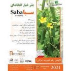 بذر خیار گلخانه ای سبا در گروه خرید و فروش بذر خیار در یکمیوه