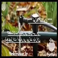 فروش اتصالات آبیاری بارانی تجهیزات آبیاری در تهران در گروه خرید و فروش انواع تجهیزات آبیاری در یکمیوه