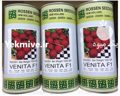 بذر تربچه ونیتا روزن سیدز هلند در اهواز در گروه خرید و فروش بذر صیفی جات در یکمیوه -عکس1