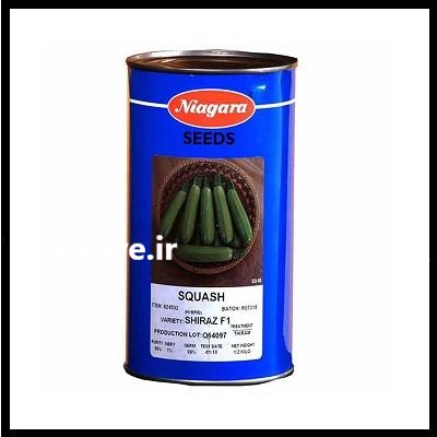 فروش بذر کدو اسکواش نیاگارا در اهواز در گروه خرید و فروش بذر کدو در یکمیوه -عکس1