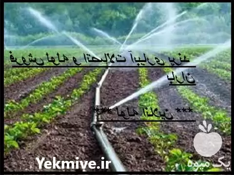 قیمت خرید لوله اتصالات آبیاری تجهیزات در کرج در گروه خرید و فروش لوله کشاورزی در یکمیوه -عکس1