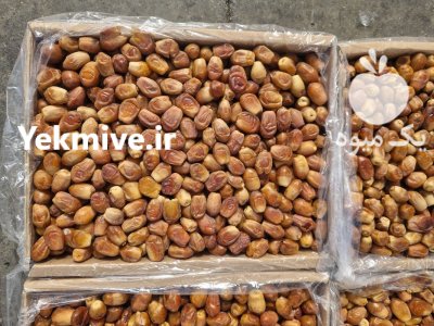 خرمای مجول خرمای زاهدی در گروه خرید و فروش خرما در یکمیوه -عکس1