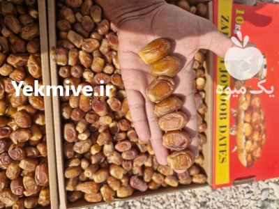 خرمای مجول خرمای زاهدی در گروه خرید و فروش خرما در یکمیوه -عکس3