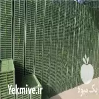 فروش سینی نشا برنج باکس نشا در گروه خرید و فروش نشا در یکمیوه