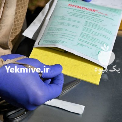 عرضه انواع ضد کنه زنبورعسل ارگانیک در تهران در گروه خرید و فروش زنبورعسل در یکمیوه -عکس2