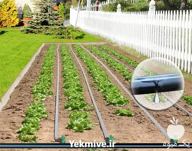 قیمت خرید عرضه انواع نوار تیپ در گروه خرید و فروش نوار تیپ در یکمیوه -عکس1