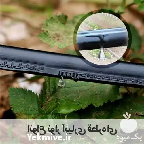 قیمت خرید نوار تیپ آبیاری قطره در تهران در گروه خرید و فروش نوار تیپ در یکمیوه -عکس1