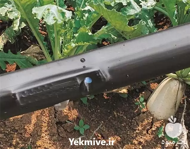 فروش ارسال لوله آبیاری به نقاط در تهران در گروه خرید و فروش لوله کشاورزی در یکمیوه -عکس1