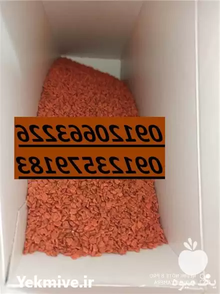 فروش چغندرقند 2019 KWS در گروه خرید و فروش بذر چغندر در یکمیوه -عکس1