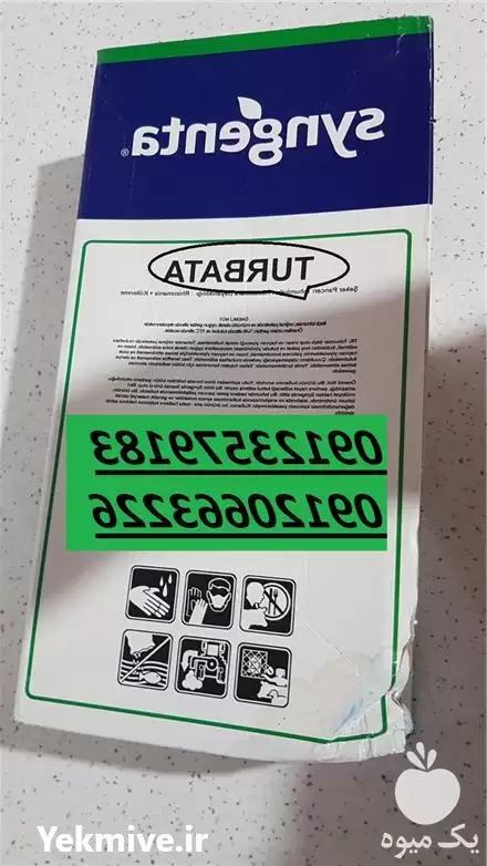 فروش بذر چغندرقند پاییزه در تهران در گروه خرید و فروش بذر چغندر در یکمیوه -عکس1