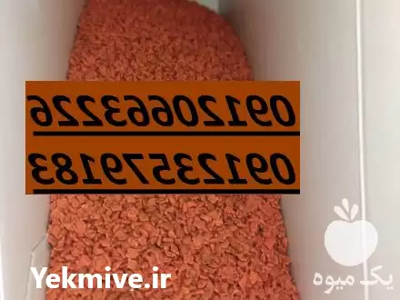 قیمت خرید بذر چغندرقند مناسب در گروه خرید و فروش بذر چغندر در یکمیوه -عکس1