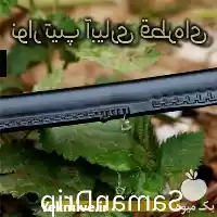 فروش نوار تیپ در تهران در گروه خرید و فروش نوار تیپ در یکمیوه