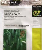 بذر خیار گلخانه ای ناگین در اهواز در گروه خرید و فروش بذر خیار در یکمیوه