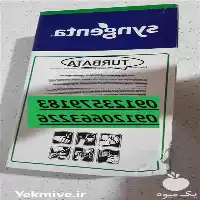 فروش بذر چغندرقند پاییزه در تهران در گروه خرید و فروش بذر چغندر در یکمیوه