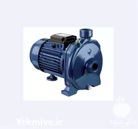 فروش موتور پمپ چدنی تک پروانه در گروه خرید و فروش پمپ کشاورزی در یکمیوه -عکس1