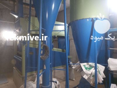 فروش بذر یونجه پایه بلند در گروه خرید و فروش بذر یونجه در یکمیوه -عکس3