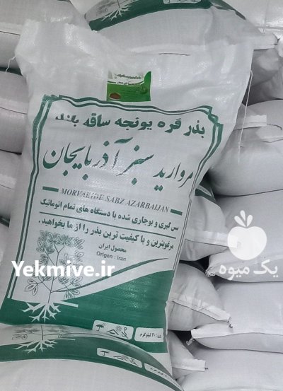 فروش انواع بذر یونجه پایه بلند در جویبار در گروه خرید و فروش بذر یونجه در یکمیوه -عکس2