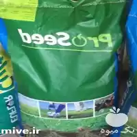 بذر چمن سوپر اسپرت پروسید آلمان در کرج در گروه خرید و فروش بذر چمن در یکمیوه