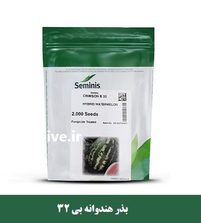 بذر هندوانه SEMINIS فروش ارسال سراسری در اهواز در گروه خرید و فروش بذر هندوانه در یکمیوه -عکس1