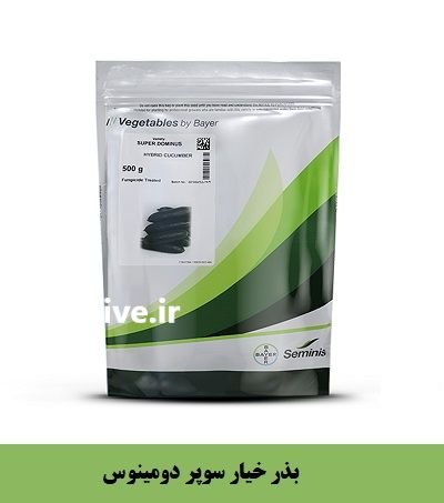بذر خیار SUPER DOMINUS سمینیس آمریکا در اهواز در گروه خرید و فروش بذر خیار در یکمیوه -عکس1