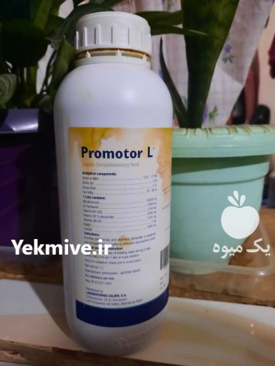 تهیه مکمل تقویتی مناسب برای زنبورعسل در گروه خرید و فروش زنبورعسل در یکمیوه -عکس1