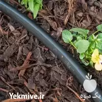 قیمت خرید لوله آبیاری یکبار مصرف در یزد در گروه خرید و فروش لوله کشاورزی در یکمیوه