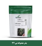 بذر هندوانه SEMINIS فروش ارسال سراسری در اهواز در گروه خرید و فروش بذر هندوانه در یکمیوه