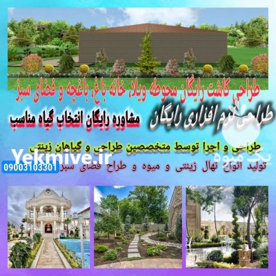 فروش گیاهان طراحی باغ ویلا باغچه در تهران در گروه خرید و فروش گیاهان زینتی در یکمیوه -عکس1