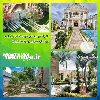 فروش گیاهان طراحی باغ ویلا باغچه در تهران در گروه خرید و فروش گیاهان زینتی در یکمیوه -عکس2