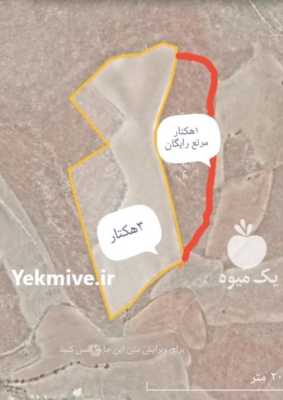 زمین کشاورزی سه هکتار در شویشه در گروه سایر ملک و زمین روستایی کشاورزی دامداری در یکمیوه -عکس1