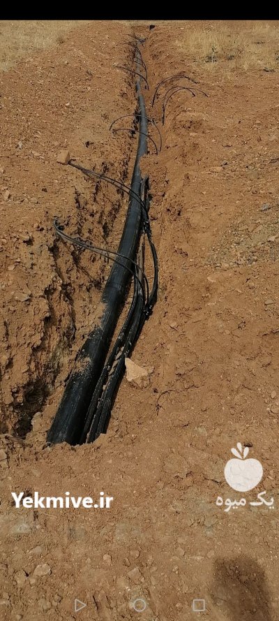 زمین کشاورزی سه هکتار در شویشه در گروه سایر ملک و زمین روستایی کشاورزی دامداری در یکمیوه -عکس2