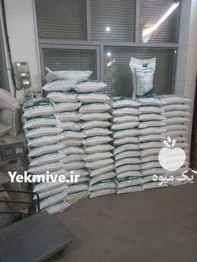 فروش بذر یونجه و علوفه در گروه خرید و فروش بذر یونجه در یکمیوه -عکس4