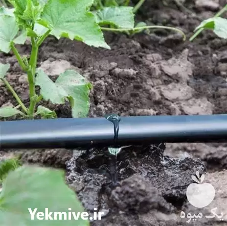 فروش تولید نوار تیپ در شیراز در گروه خرید و فروش نوار تیپ در یکمیوه -عکس1