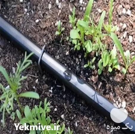 تولید و فروش نوار تیپ در قزوین در گروه خرید و فروش نوار تیپ در یکمیوه -عکس1