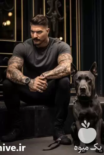 فروش خرید سگ نگهبان ژرمن شپهرد در گروه سگ و گربه در یکمیوه -عکس1