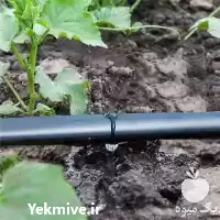 فروش تولید نوار تیپ در شیراز در گروه خرید و فروش نوار تیپ در یکمیوه