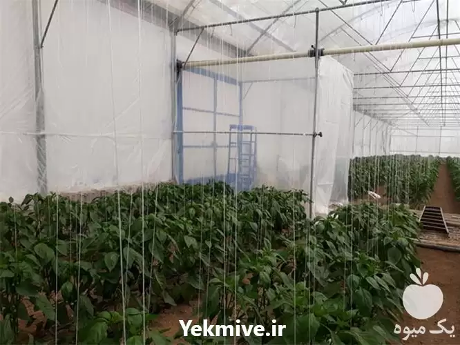 طراحی و احداث گلخانه در گروه سازنده در یکمیوه -عکس1