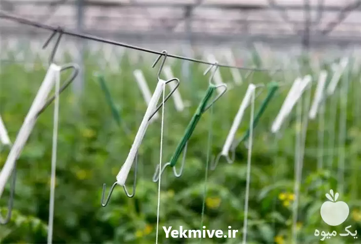 قیمت خرید قلاب فلزی بوته در تهران در گروه خرید و فروش تجهیزات گلخانه در یکمیوه -عکس1