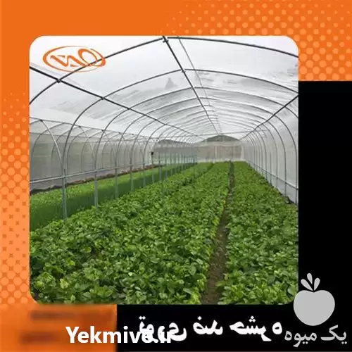 قیمت خرید توری ضد حشره در گروه خرید و فروش توری گلخانه در یکمیوه -عکس1