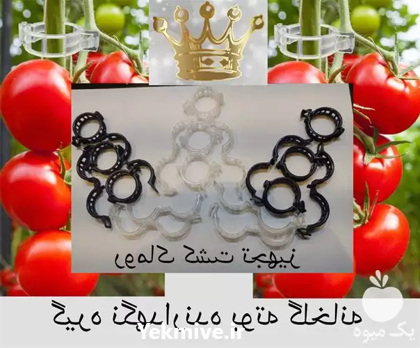 قیمت خرید گیره بوته قلاب در تهران در گروه خرید و فروش تجهیزات گلخانه در یکمیوه -عکس1