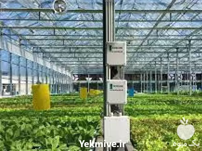 قیمت خرید ساخت گلخانه اسپانیایی در تهران در گروه خرید و فروش سوله و سازه گلخانه در یکمیوه -عکس1