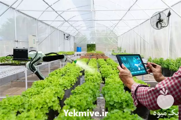 دوره آموزشی طراحی سازه های گلخانه در گروه دوره آموزش کشاورزی در یکمیوه -عکس1