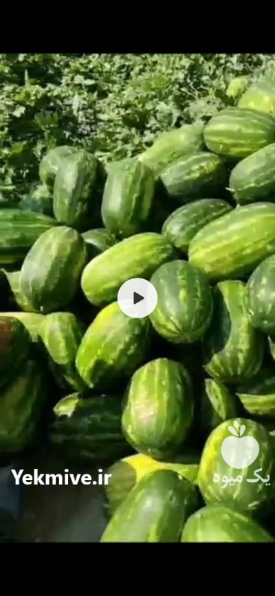 فروش هندوانه صادراتی در زاهدان در گروه خرید و فروش هندوانه در یکمیوه -عکس1