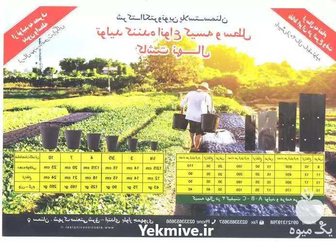 تولید فروش کیسه نهال گلدانی گلدان در گروه خرید و فروش گلدان در یکمیوه -عکس1