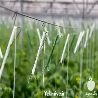 قیمت خرید قلاب فلزی بوته در تهران در گروه خرید و فروش تجهیزات گلخانه در یکمیوه