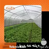 قیمت خرید توری ضد حشره در گروه خرید و فروش توری گلخانه در یکمیوه