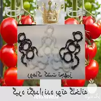 قیمت خرید گیره بوته قلاب در تهران در گروه خرید و فروش تجهیزات گلخانه در یکمیوه